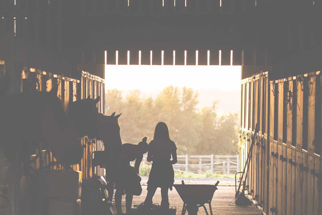 Silhouette of girl in barn