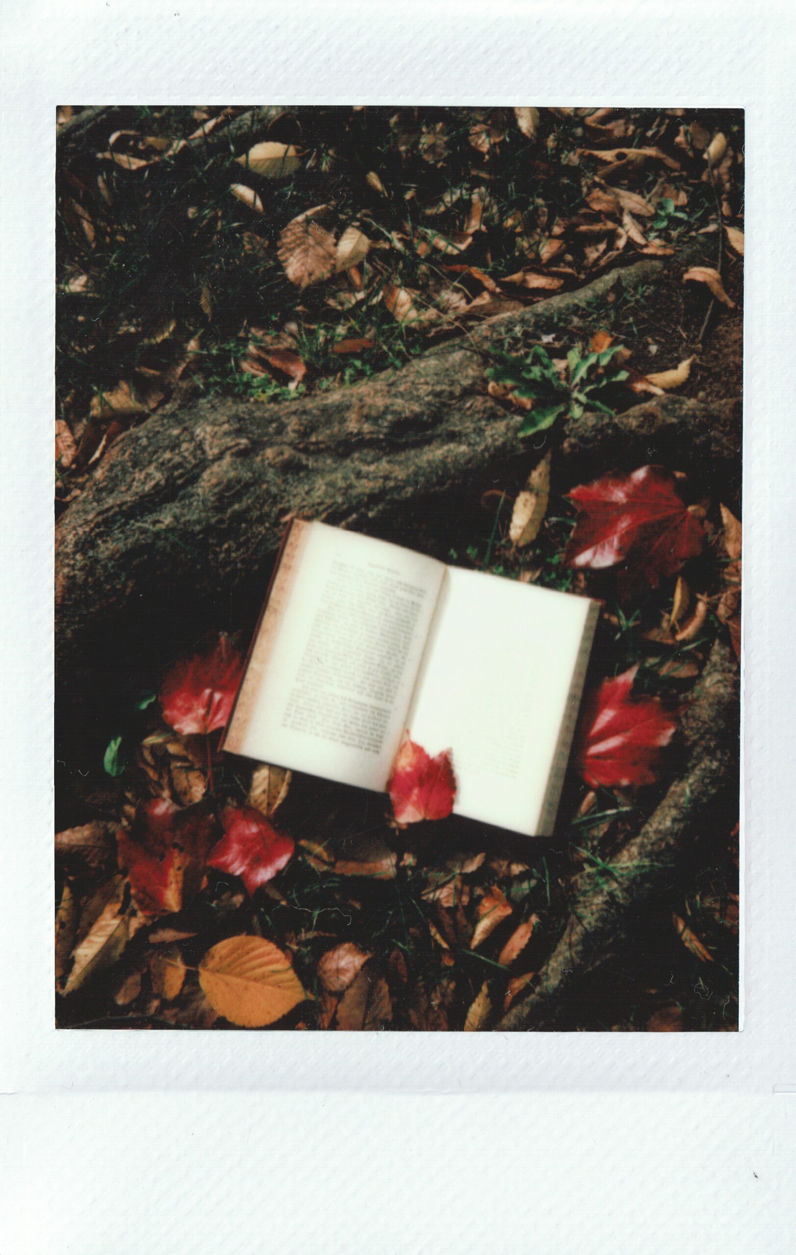 reading-summer-enrichment-2022